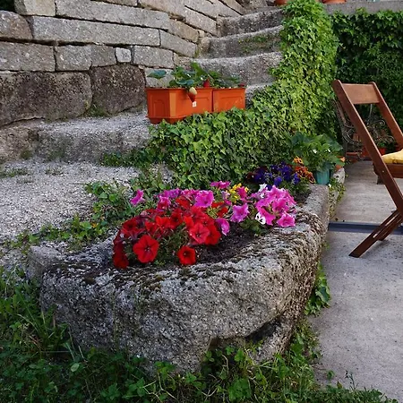 Holiday home Casa De Campo Neves Montalegre